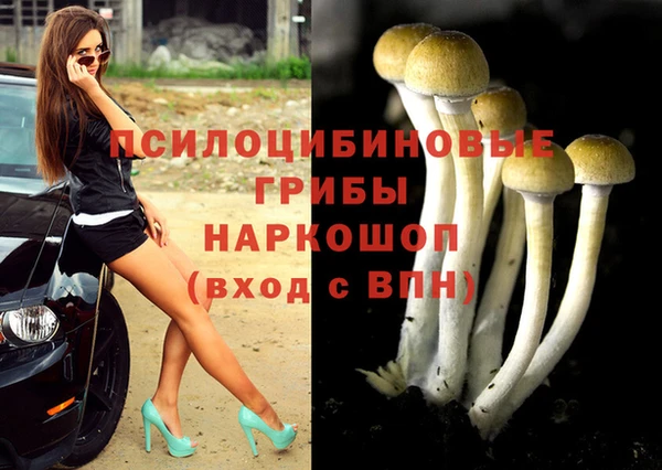 соль ск Богородицк